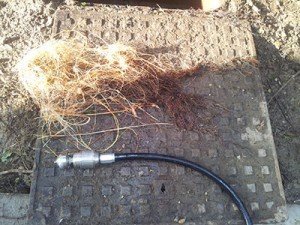 Roots removed using a drain jetter