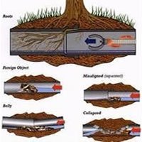 Root removal Norwich